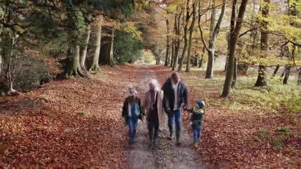 Drónfelvétel Nagyszülőkről Unokákkal Akik Együtt Sétálnak Végig Őszi Vidéken — Stock videók