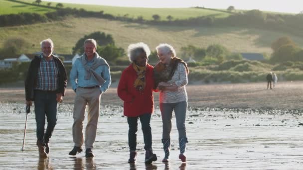 Grupo Amigos Mayores Caminando Largo Orilla Playa Otoño Por Noche — Vídeos de Stock