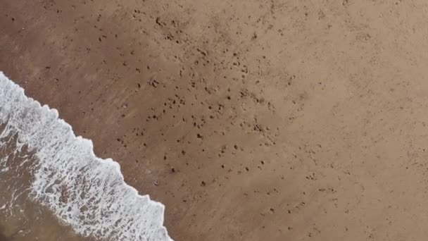 汽笛射击的家庭沿着海滩的海岸线冲入破浪中 — 图库视频影像