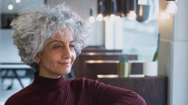 Retrato Mulher Negócios Madura Sorridente Que Trabalha Escritório Moderno Tiro — Vídeo de Stock