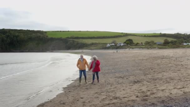 Drone Shot Loving Senior Couple Holding Hands Walking Shoreline Winter — Stock Video