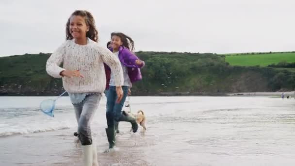 Multi Kulturell Familj Med Sällskapsdjur Hund Promenader Längs Strandlinjen Vintern — Stockvideo