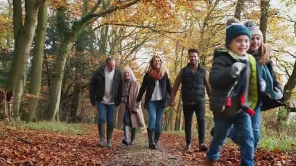 Família Várias Gerações Caminhando Longo Caminho Através Paisagem Outono Juntamente — Vídeo de Stock