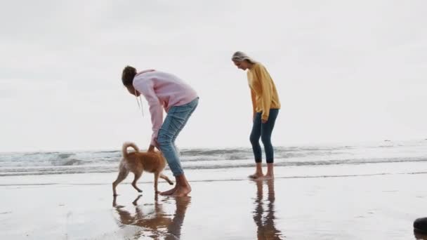 Mother Daughter Playing Waves Pet Dog Autumn Family Vacation Shot Video Clip