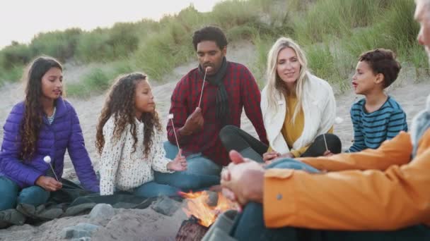 Flergenerationsfamilj Sitter Runt Elden Vintern Stranden Rostning Marshmallows Skjuten Slow — Stockvideo