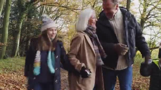 Χαμογελώντας Παππούδες Εγγόνια Περπατώντας Στο Μονοπάτι Μέσα Στην Φθινοπωρινή Εξοχή — Αρχείο Βίντεο