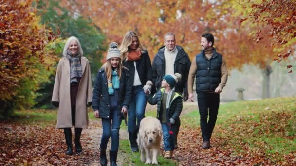 多代家庭导盲犬在秋天的乡间小径上一起散步 动作缓慢 — 图库视频影像