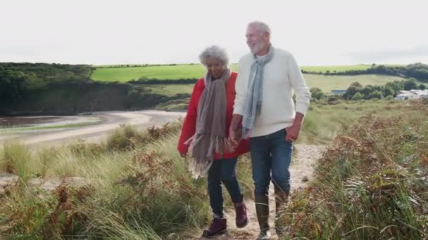 Pareja Mayor Caminando Largo Del Camino Costero Tomados Mano Otoño — Vídeos de Stock