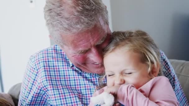 Cariñoso Abuelo Abrazando Nieta Celebración Suave Juguete Conejo Sentado Sofá — Vídeos de Stock