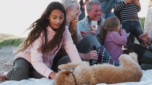 冬のビーチでワインを飲みながら 日没時にペット犬と遊ぶ多世代の家族 スローモーションで撮影 — ストック動画