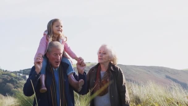 Abuelo Cargando Nieta Hombros Mientras Caminan Por Campo Con Abuela — Vídeos de Stock