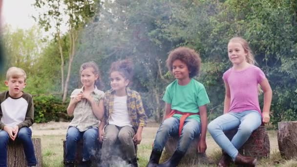 Gruppe Von Kindern Auf Outdoor Aktivität Zeltausflug Sitzt Zusammen Lagerfeuer — Stockvideo