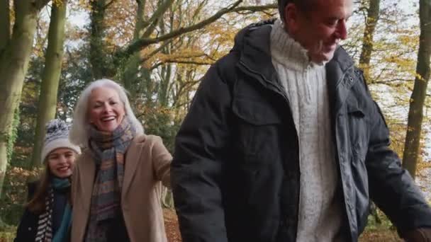 Avós Sorridentes Com Netos Caminhando Longo Caminho Através Campo Outono — Vídeo de Stock