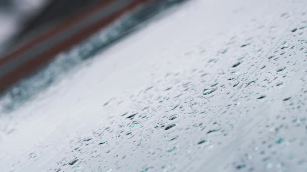 Makro Ujęcie Kropel Deszczu Oczyszczanych Przedniej Szyby Samochodu Przez Wycieraczkę — Wideo stockowe