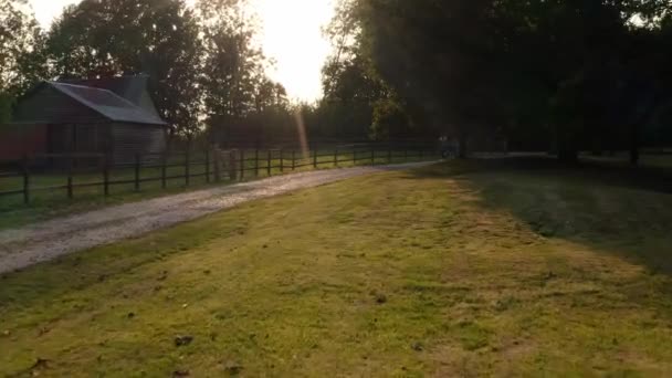 Drone Shot Van Jonge Vrouw Met Huisdier Bulldog Paardrijden Fiets — Stockvideo