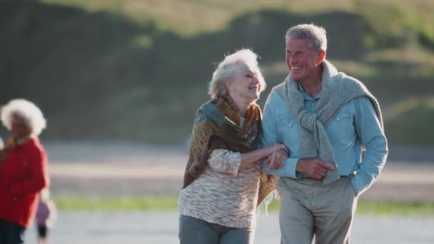 Liebendes Senioren Paar Hält Händchen Wenn Winterurlaub Strand Entlang Läuft — Stockvideo