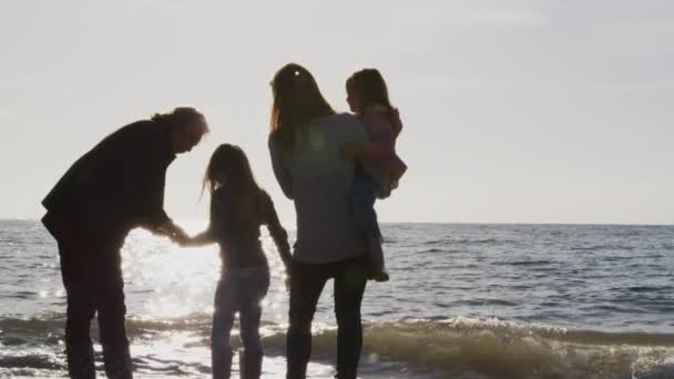 Vista Trasera Abuela Pie Con Madre Las Hijas Mirando Hacia — Vídeo de stock