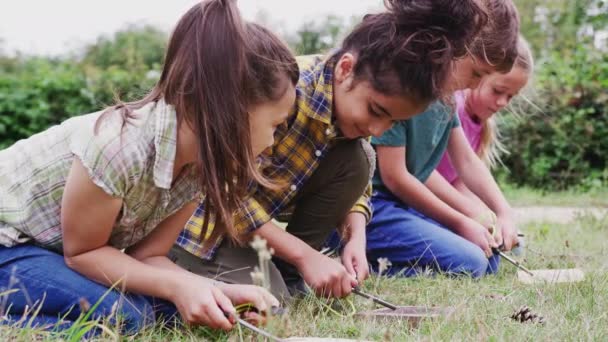 Groep Kinderen Kampeertocht Buiten Leren Hoe Maken Licht Vuur Geschoten — Stockvideo