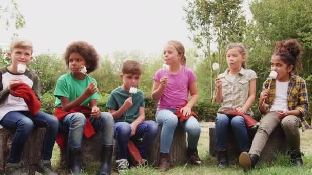 Gruppe Von Kindern Auf Outdoor Aktivität Beim Gemeinsamen Marshmallows Essen — Stockvideo