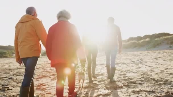 一对年长的夫妇牵着手与成年后代一起在海滩上度过寒假时的后视镜 动作缓慢 — 图库视频影像