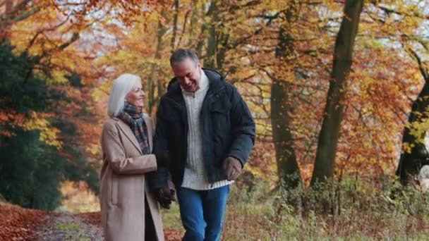 Loving Senior Couple Holding Hands Walk Path Colorful Autumn Trees — Stock Video