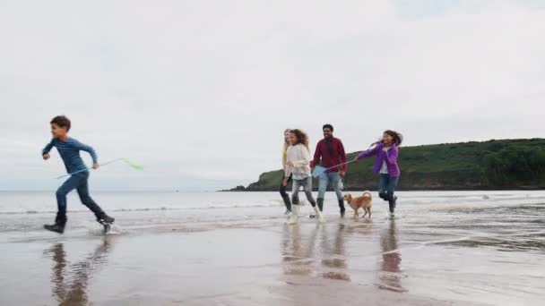 冬のビーチ休暇に沿って海岸線を歩くペット犬を持つ多文化家族 スローモーションで撮影 — ストック動画