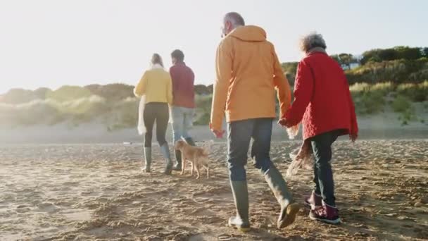 Rear View Senior Couple Holding Hands Walk Beach Winter Vacation — Stock Video