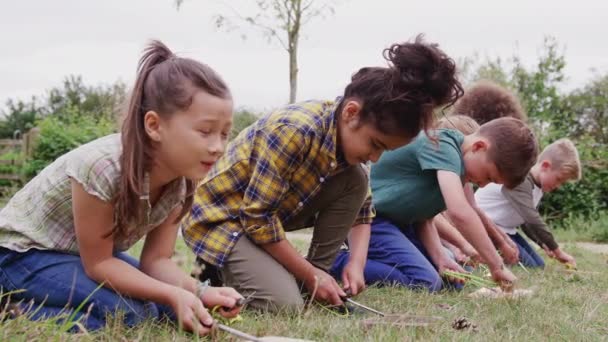 Grupo Niños Viaje Campamento Aire Libre Aprendiendo Hacer Encender Fuego — Vídeos de Stock