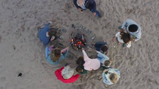 Drohnenschuss Von Mehrgenerationenfamilie Die Feuer Winterstrand Auf Marshmallows Anstößt — Stockvideo