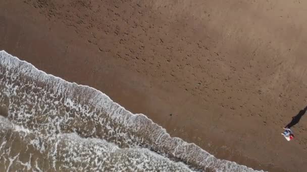 Беспилотный Снимок Отца Детьми Идущими Вдоль Береговой Линии Пляжа Разбивая — стоковое видео