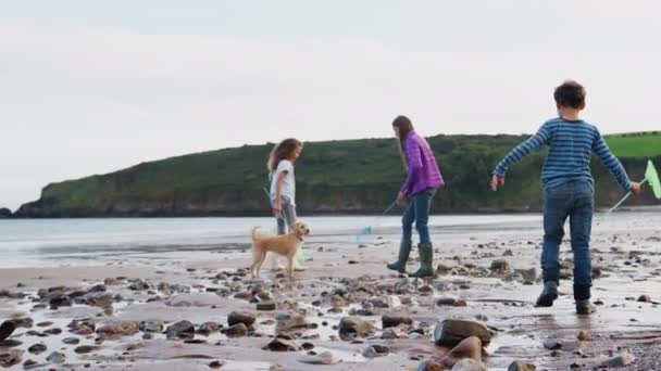 Çocuklar Evcil Köpekleri Balık Ağıyla Kış Tatilinde Sahilde Kayaları Keşfediyorlar — Stok video