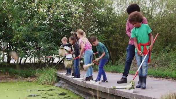 野外活動キャンプで子供たちのグループを示す大人のチームリーダーは 池から野生動物をネットで捕まえる方法 スローモーションで撮影 — ストック動画