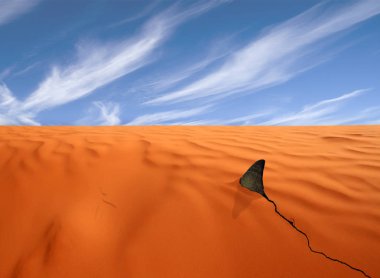 Dried out water Desert Ocean Global heating