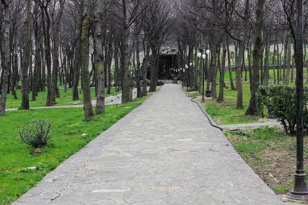 Vista panorámica del parque en el centro de la gran ciudad en el verano . — Foto de Stock