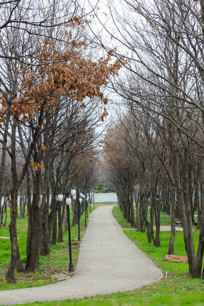 Malowniczy widok na park w centrum wielkiego miasta w okresie letnim. — Zdjęcie stockowe