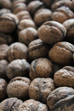 Tabakta Shell Fıstığı 'nın hayat fotoğrafı var..