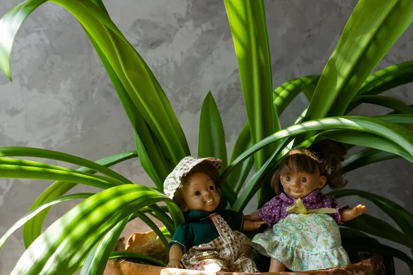 Old, scary, ugly dolls in front of concrete wall with green leaves. — Foto Stock