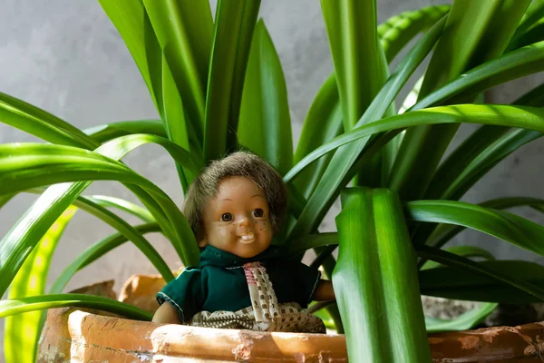 Старі, страшні, потворні ляльки перед бетонною стіною з зеленим листям . — стокове фото