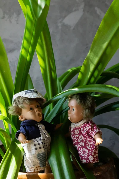 Старі, страшні, потворні ляльки перед бетонною стіною з зеленим листям . — стокове фото