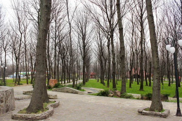 Festői kilátással a parkra, a nagy város a nyár közepén. — Stock Fotó