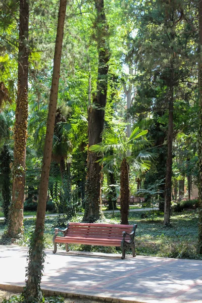 赤レンガ造りの家と緑の木々や興味深い建物が植えられた都市 — ストック写真