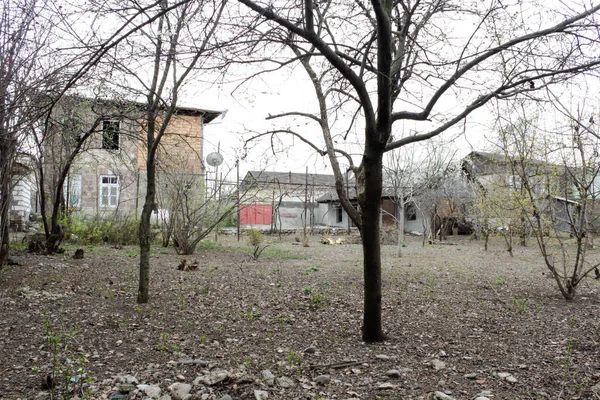 Antiguo Pueblo Con Viejas Casas Grises Árboles Secos Desnudos Patio —  Fotos de Stock