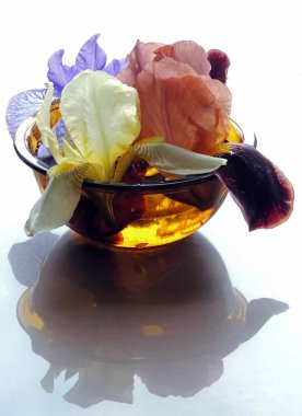 Vazo Çiçekleri yansıma yaprakları hassas boyalar süsen