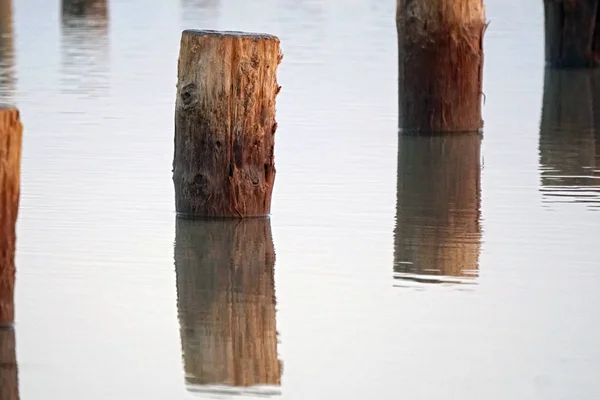 水の中の木製の棒 木材の反射と構造 — ストック写真
