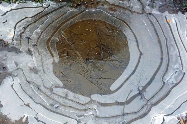 Charco Invierno Congeló Camino Del Bosque Hielo Heladas Dibujo Naturaleza —  Fotos de Stock