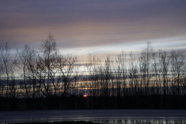 Horizontalschuss Frühlingsmarsch Dekoration Sonnenuntergang Von Der Straße Aus Durch Den — Stockfoto