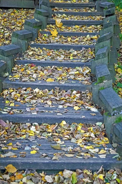 Vertical Shot Autumn Park Staircase Boards Strewn Bright Fallen Leaves — Stock Photo, Image