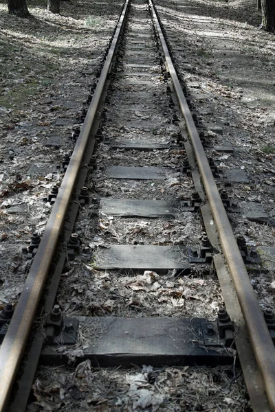 Železnice Kolejnice Lineární Perspektiva Svislý Výstřel Dřevěné Spáče Čára — Stock fotografie