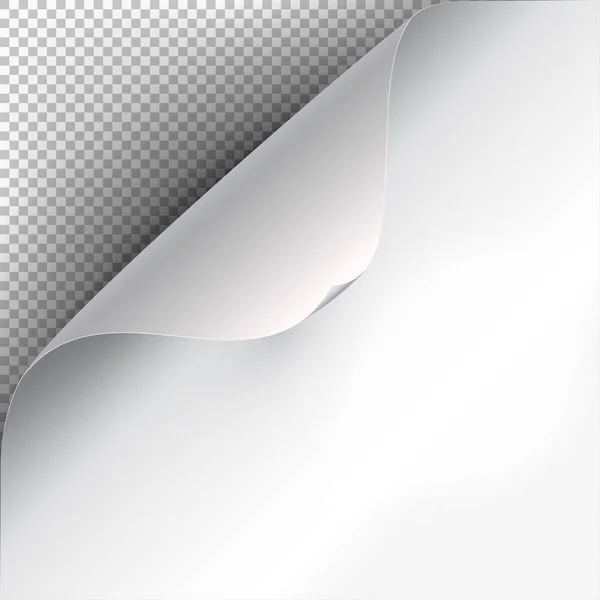 Gebogen hoek van een Witboek met schaduw. Mock-ups close-up op een transparante achtergrond. Vectorillustratie EPS-10 — Stockvector