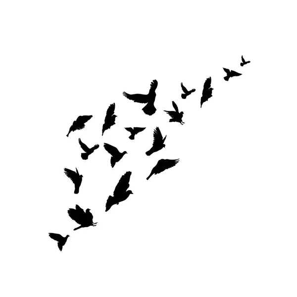 Силуэты стадо птиц. Векторная иллюстрация. Изолированный на белом фоне. Свободный рисунок — стоковый вектор